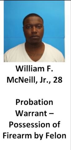 William McNeil Jr.